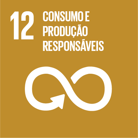 ODS 12 — Consumo e Produção Responsáveis